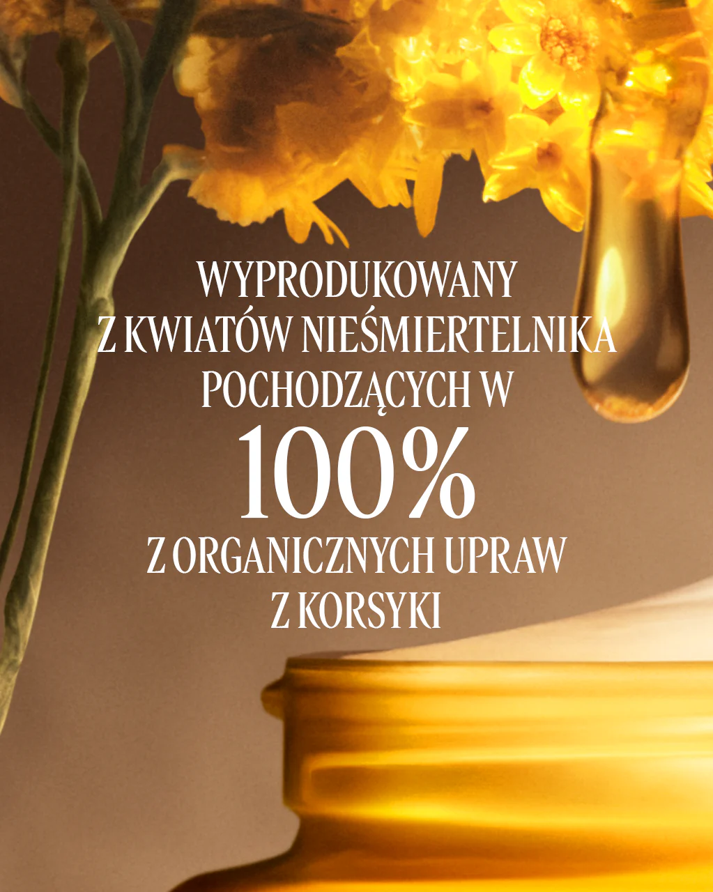 Krem do twarzy Divine - Image 5