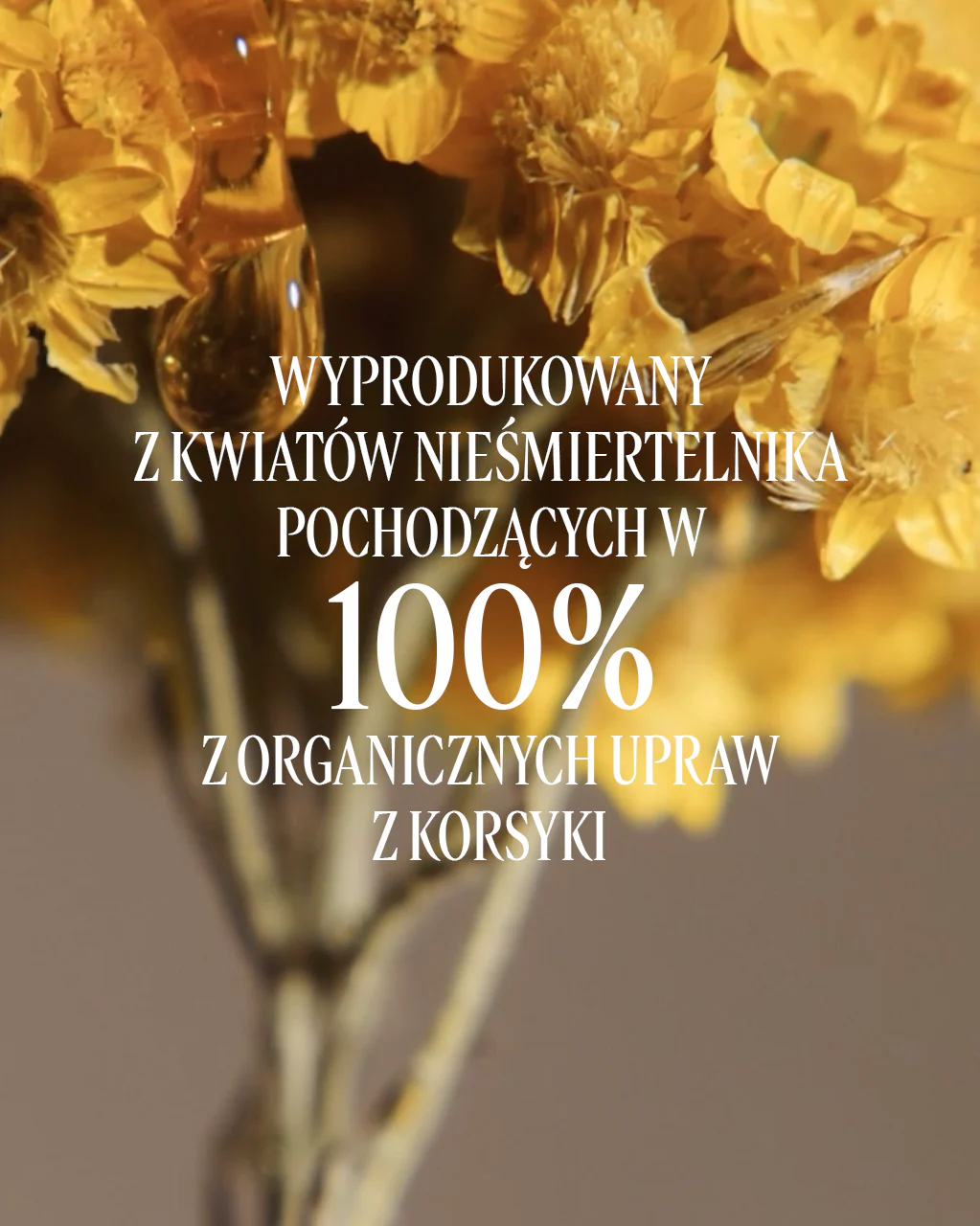 Serum pod oczy Immortelle Reset - Image 7