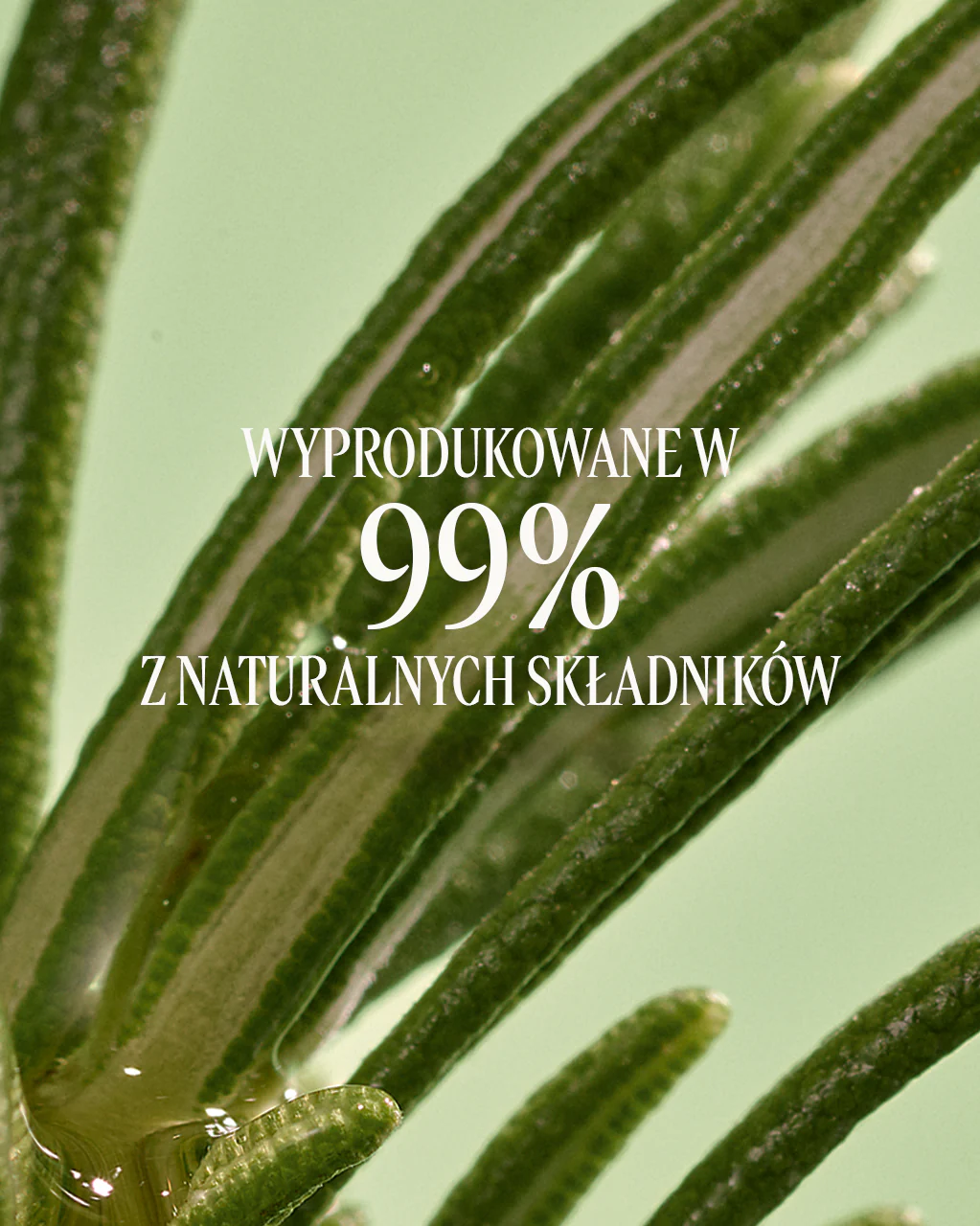 Serum przeciwko wypadaniu włosów Aromakologia - Image 7