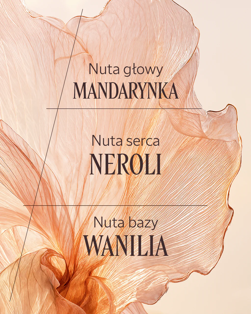 Woda toaletowa Néroli Orchidée - Image 4